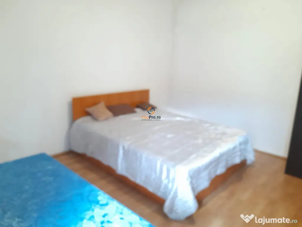 Vila Individuala Timisoara