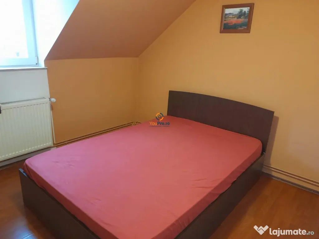 Vila Individuala Timisoara