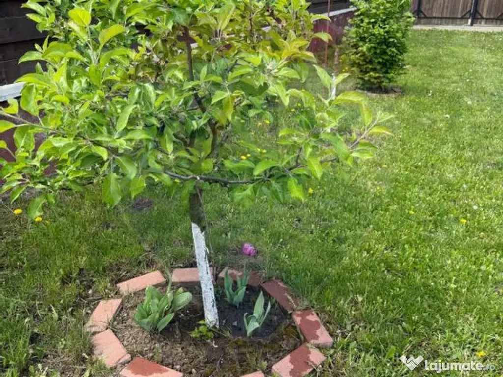 Teren de vânzare în Hărman, zona Fish 4 Life – înce...