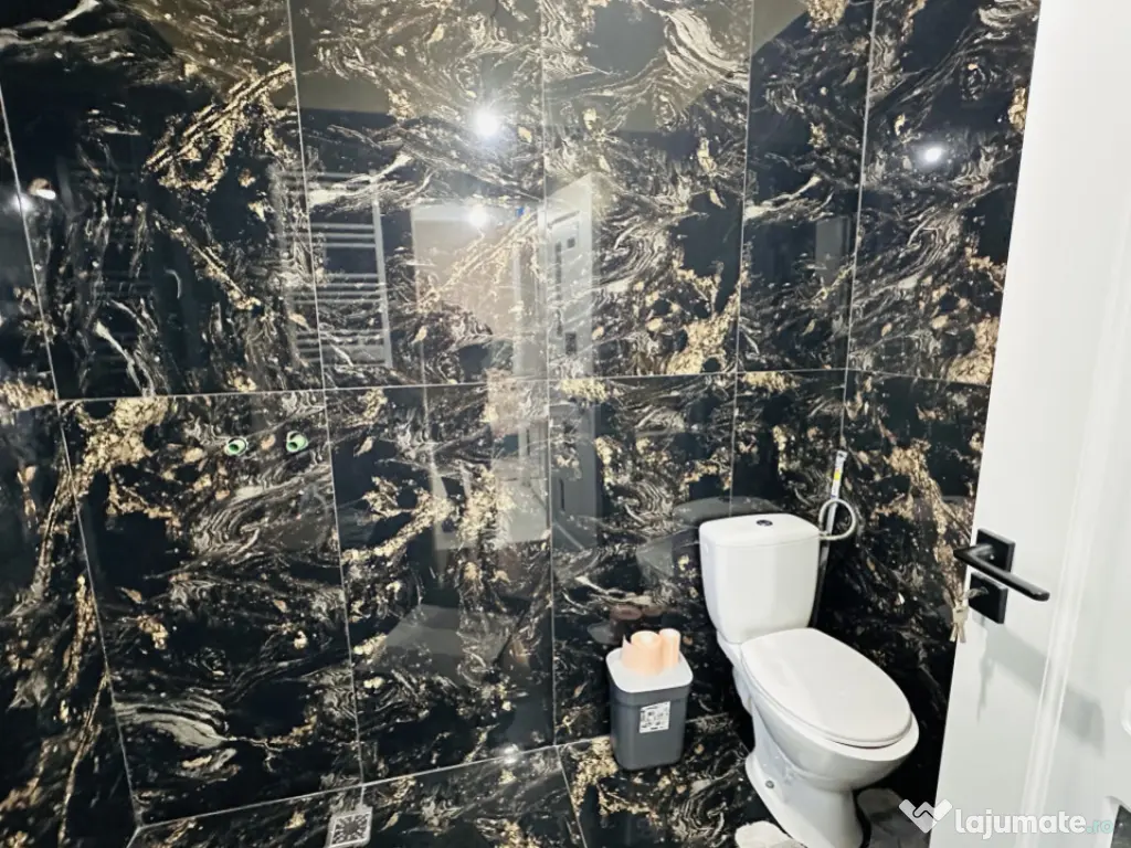 Vila cocheta, individuala, 156 mp construiti, 405 mp teren R