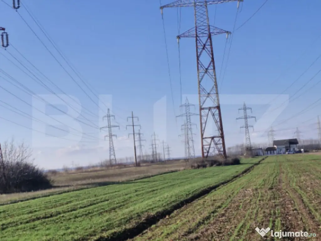 Teren extravilan 5.000 mp | Deschidere 15,79 m | Acces DN7 | 