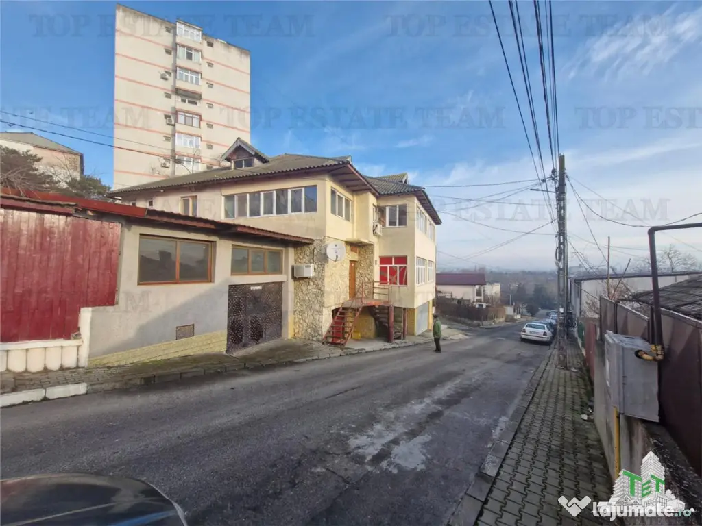 Vila unica de cu destinatie de locuinta si spatii comercial