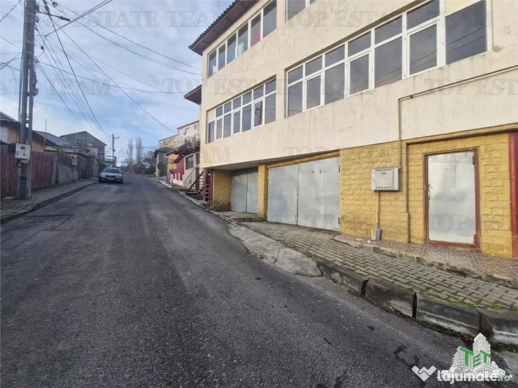 Vila unica de cu destinatie de locuinta si spatii comercial 