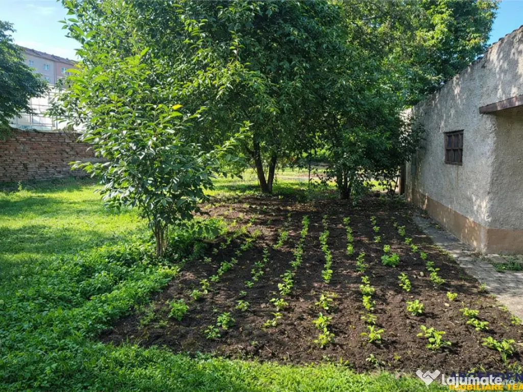 Casa duplex, personalizabila, cu 1.000 mp teren, Prejmer, Br 