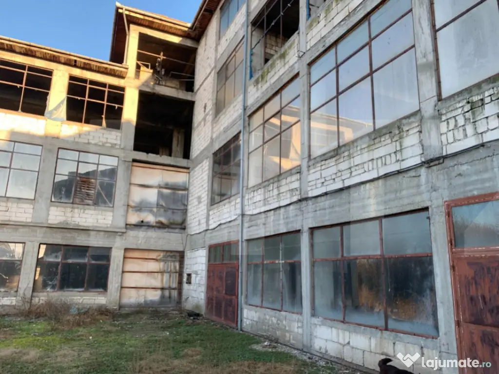 Oportunitate rară de investiție: clădire industrială cu 
