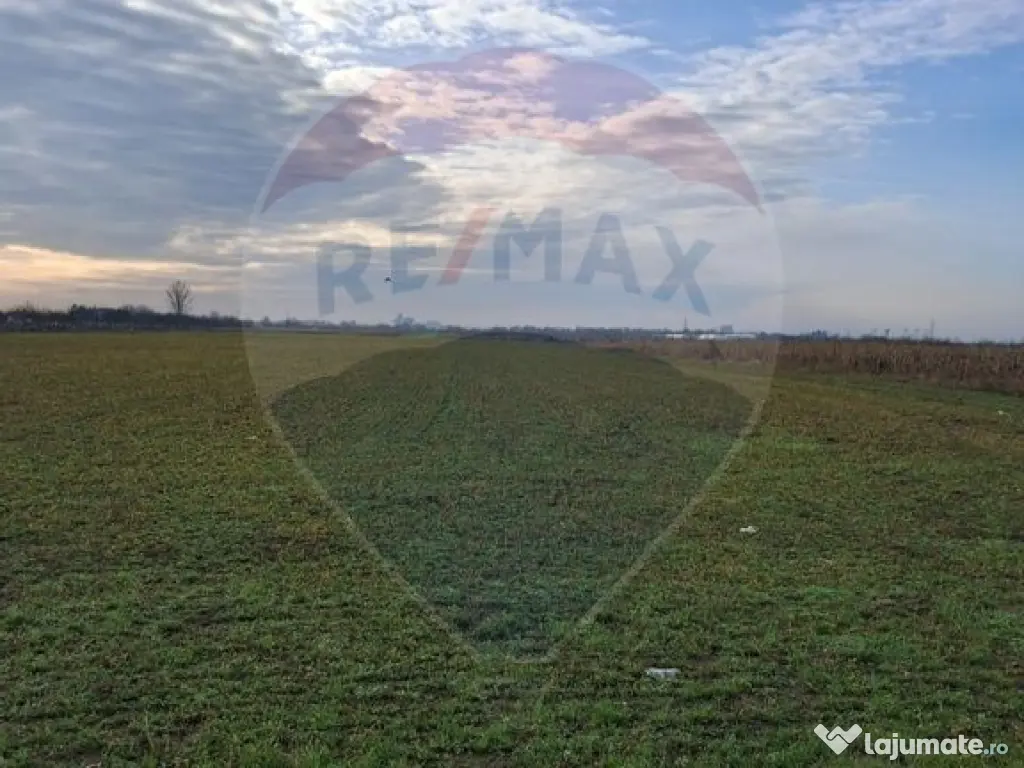 Teren 5,700mp Santion / None