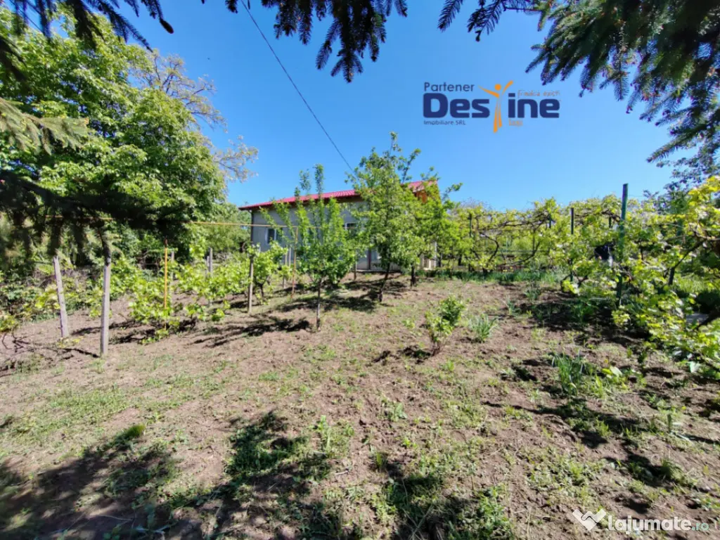 Casă individuală P+M, 164 mp utili + 1062 mp teren, COPOU