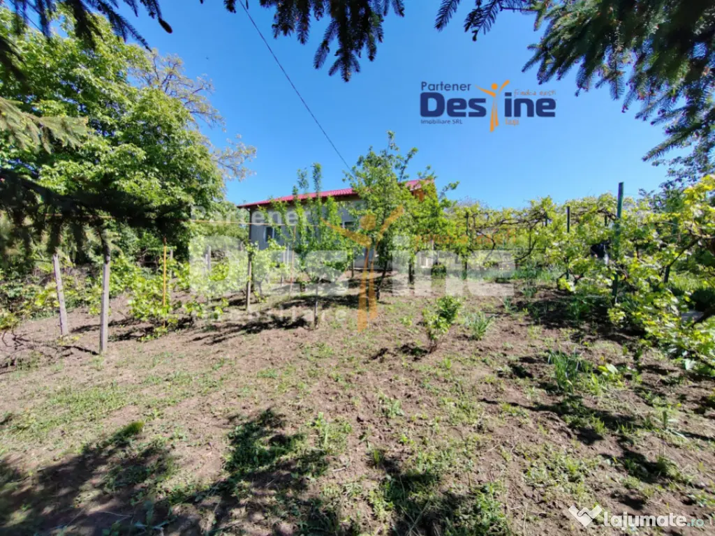 Casă individuală P+M, 164 mp utili + 1062 mp teren, COPOU 