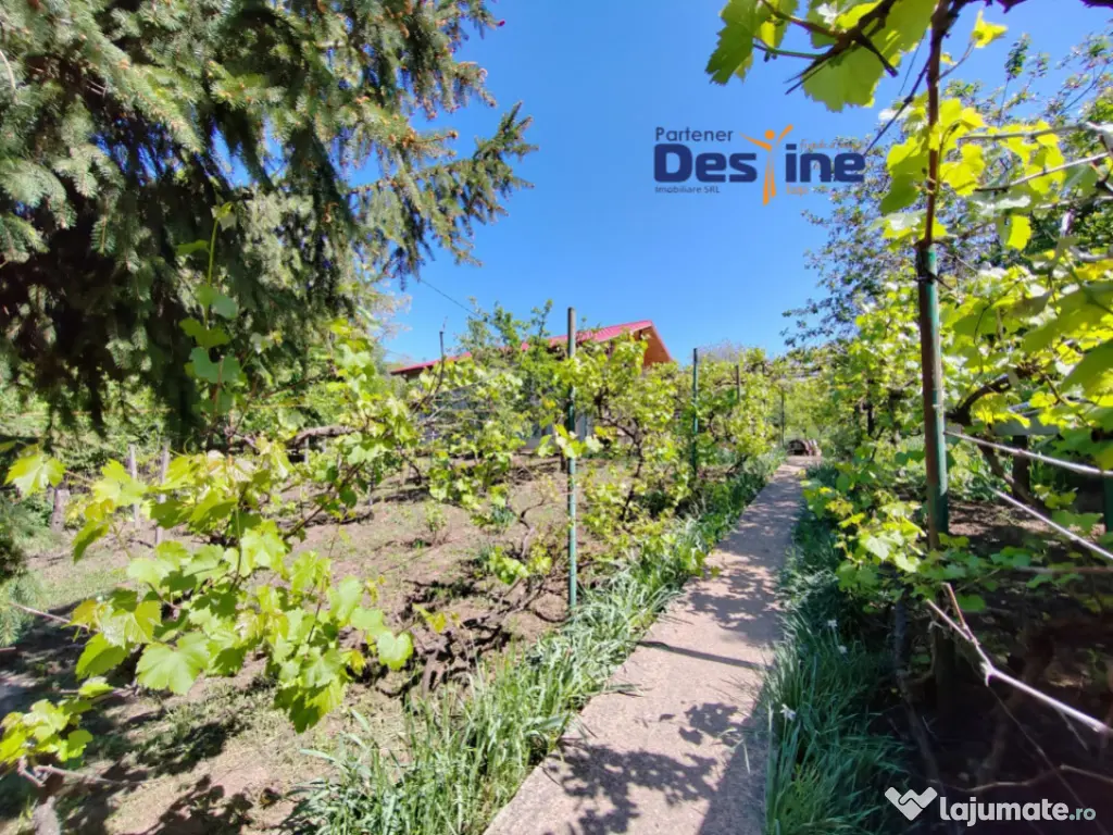 Casă individuală P+M, 164 mp utili + 1062 mp teren, COPOU