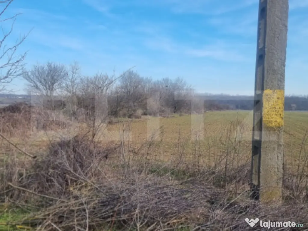 TEREN INTRAVILAN POTENTIAL INVESTITIE