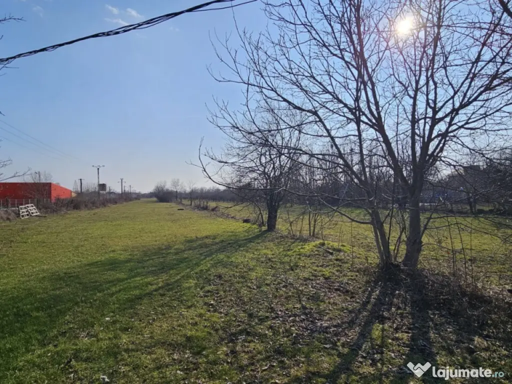 Baicoi -Tufeni, intravilan 6076 mp,2 deschideri - 55000 euro 