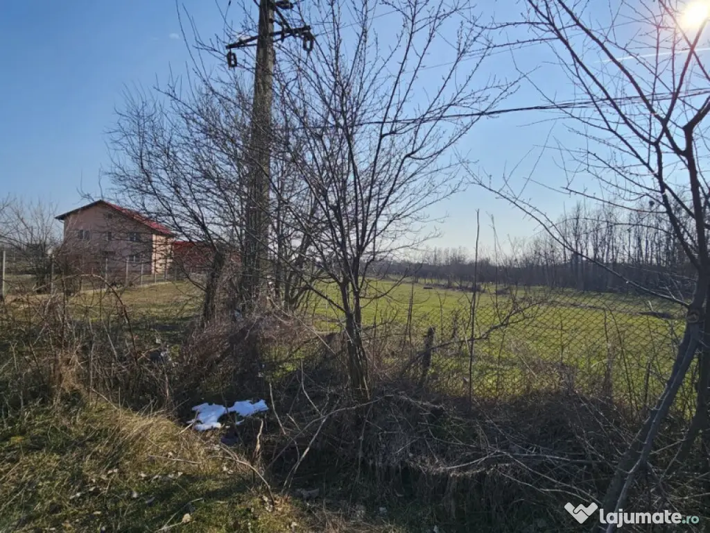 Baicoi -Tufeni, intravilan 6076 mp,2 deschideri - 55000 euro 