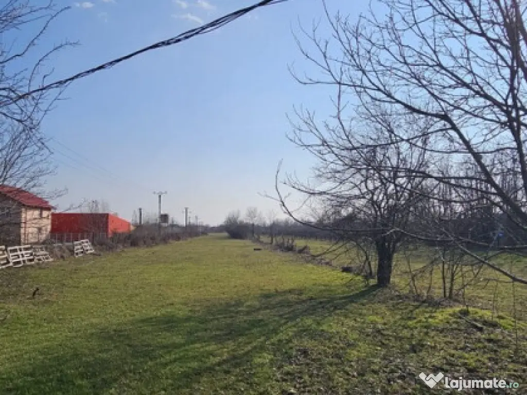 Baicoi -Tufeni, intravilan 6076 mp,2 deschideri - 55000 euro 