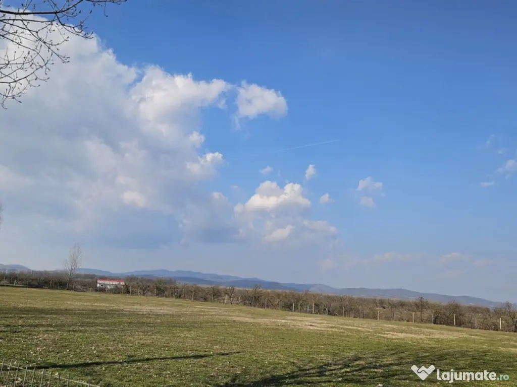 Baicoi -Tufeni, intravilan 6076 mp,2 deschideri - 55000 euro 