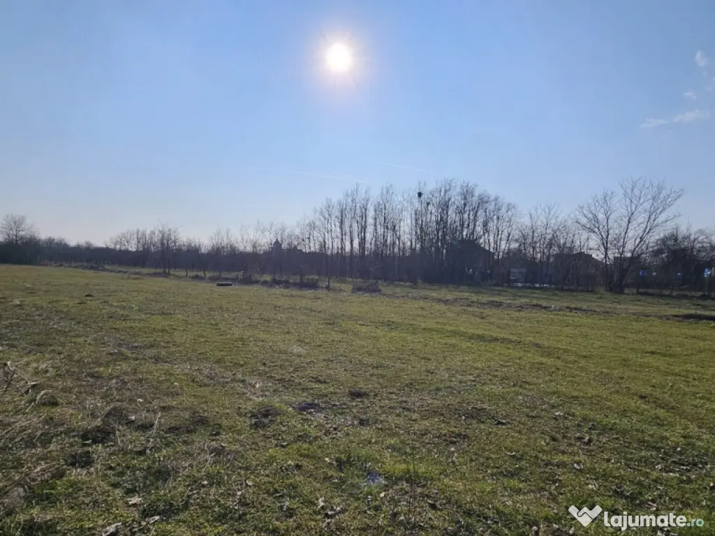 Baicoi -Tufeni, intravilan 6076 mp,2 deschideri - 55000 euro 