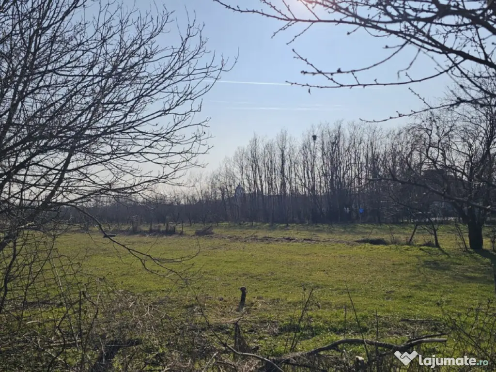 Baicoi -Tufeni, intravilan 6076 mp,2 deschideri - 55000 euro 