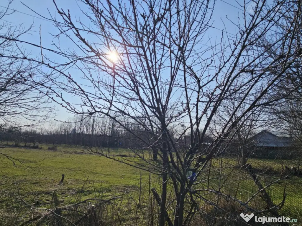 Baicoi -Tufeni, intravilan 6076 mp,2 deschideri - 55000 euro 