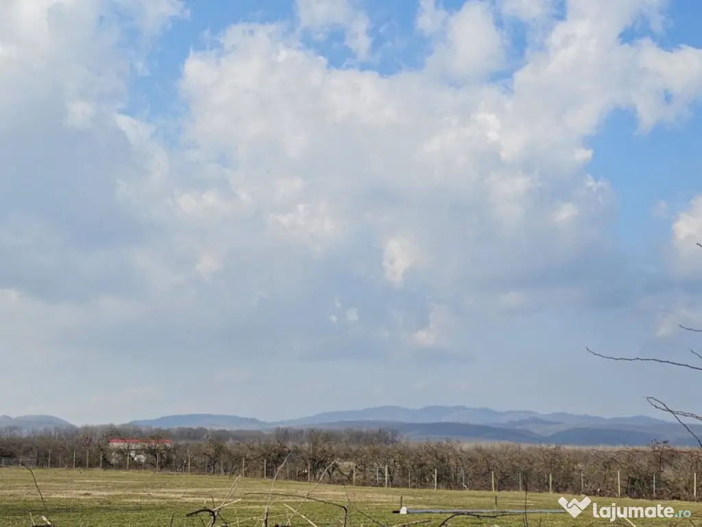 Baicoi -Tufeni, intravilan 6076 mp,2 deschideri - 55000 euro 