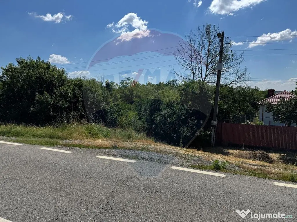 Teren 2,500mp Picaturile / Strada Principala 