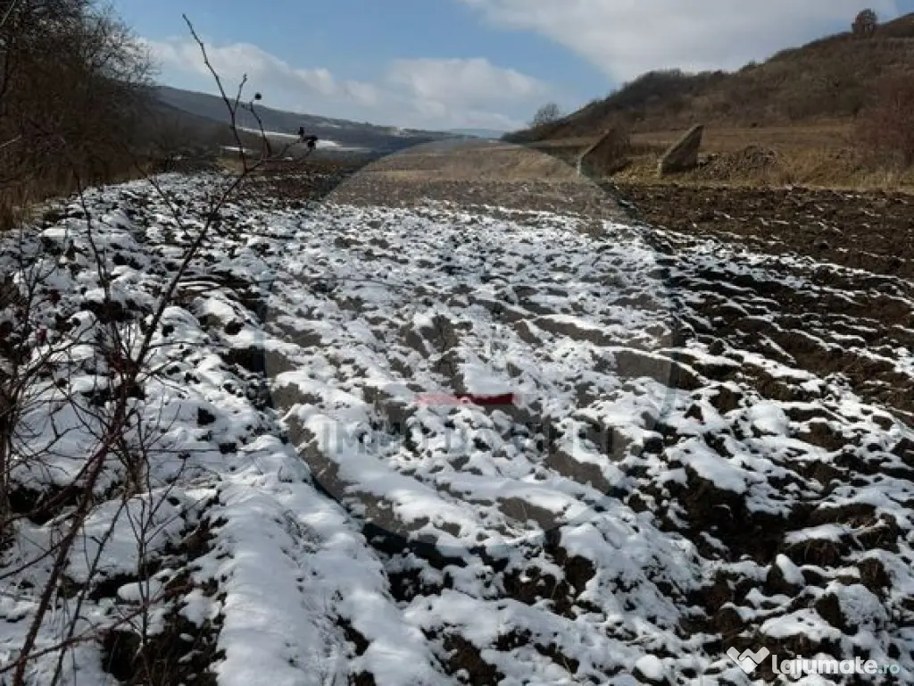 Teren Intravilan,Sanmartin CJ 