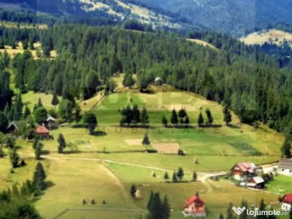 Teren intravilan 250 mp, Arieseni - Partie Ski 