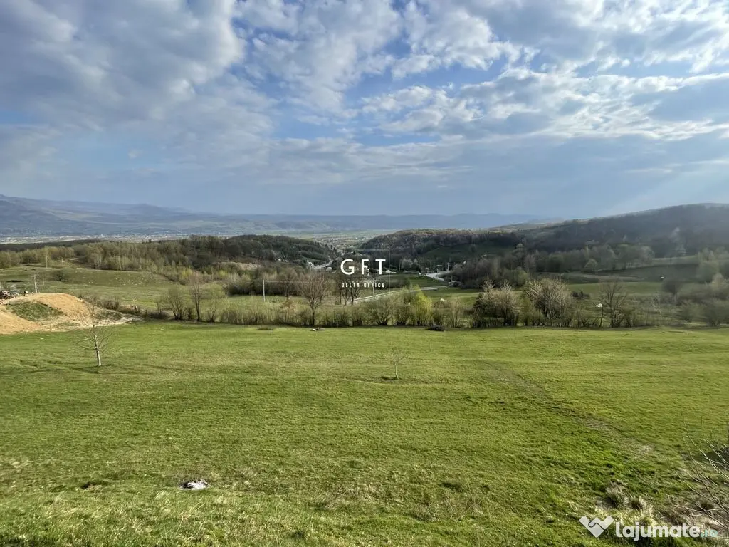 CABANA/PENSIUNE LA 25 MINUTE DE COLIBITA! PLATA IN RATE!!! 