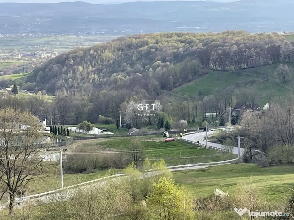 CABANA/PENSIUNE LA 25 MINUTE DE COLIBITA! PLATA IN RATE!!! 