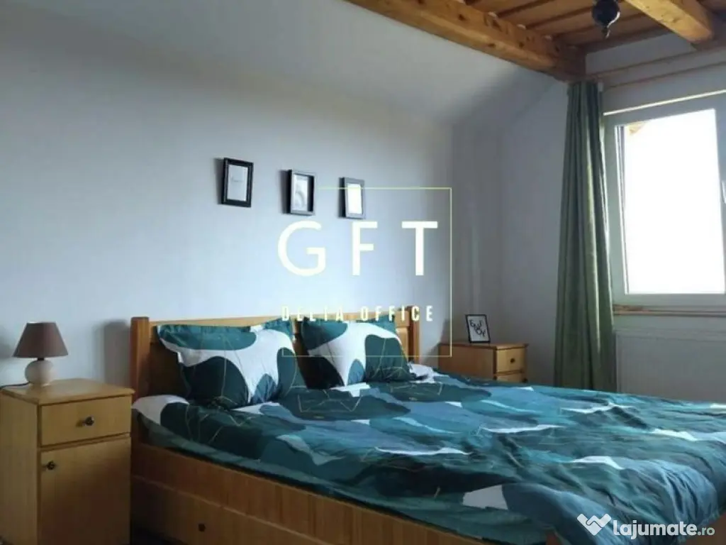 CABANA/PENSIUNE LA 25 MINUTE DE COLIBITA! PLATA IN RATE!!! 