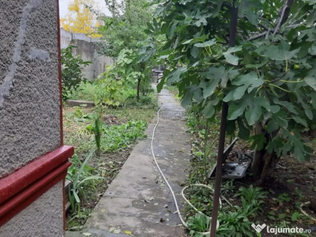 Teren zona centrala Braila 250mp casa batraneasca