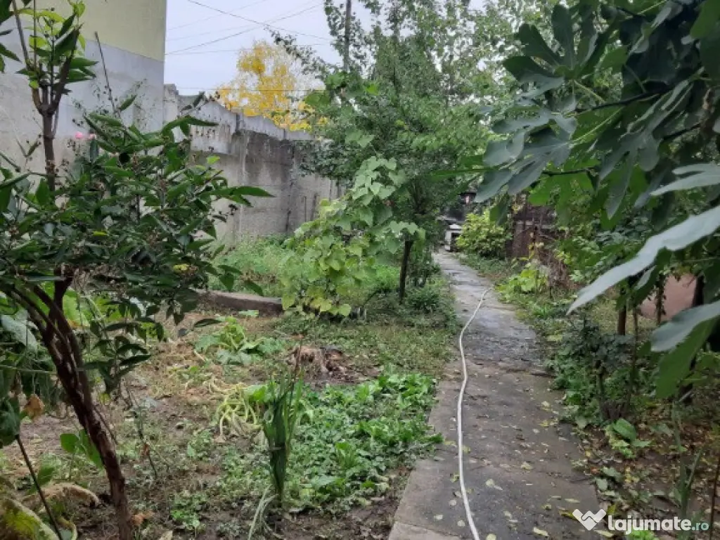 Teren zona centrala Braila 250mp casa batraneasca