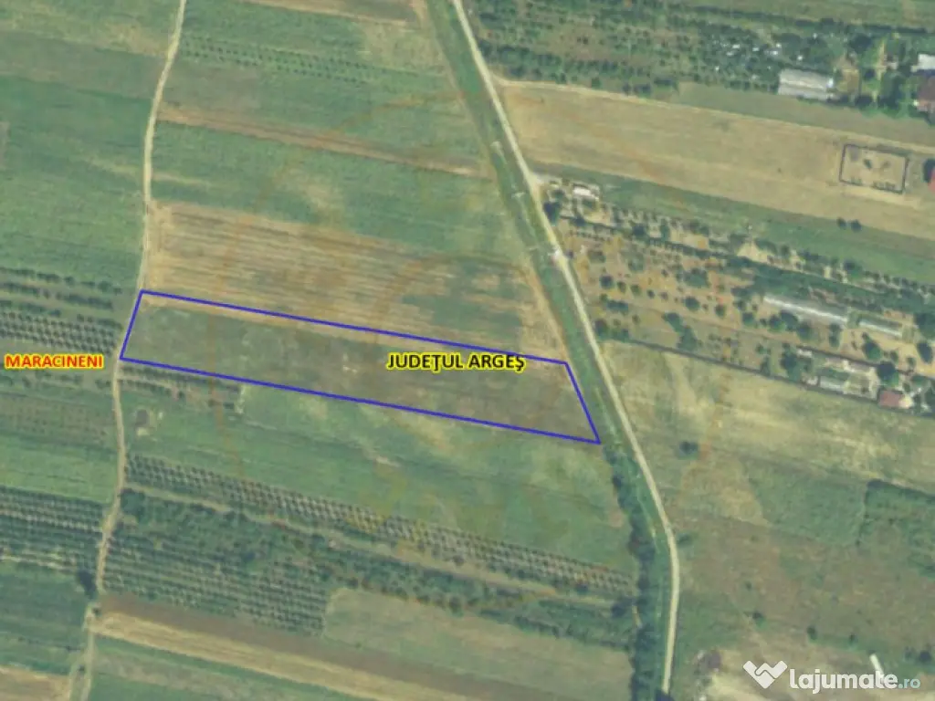 Teren intravilan 7.545 mp în Mărăcineni – ideal reziden