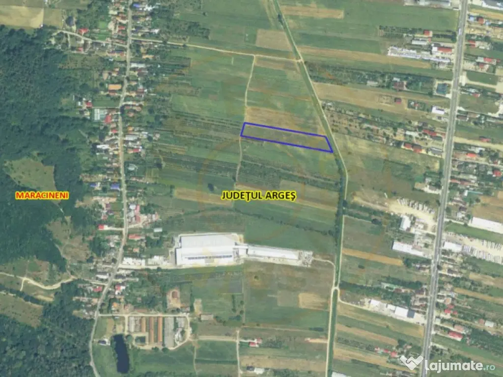 Teren intravilan 7.545 mp în Mărăcineni – ideal reziden