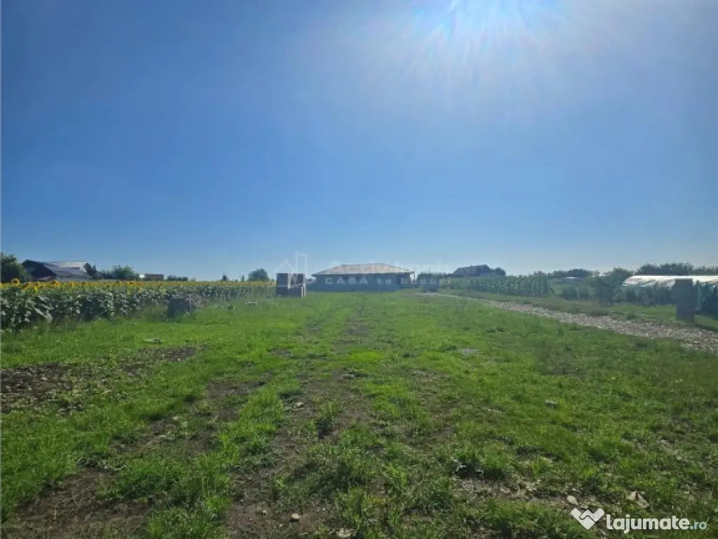 Teren intravilan - 895 mp - Moara Nica