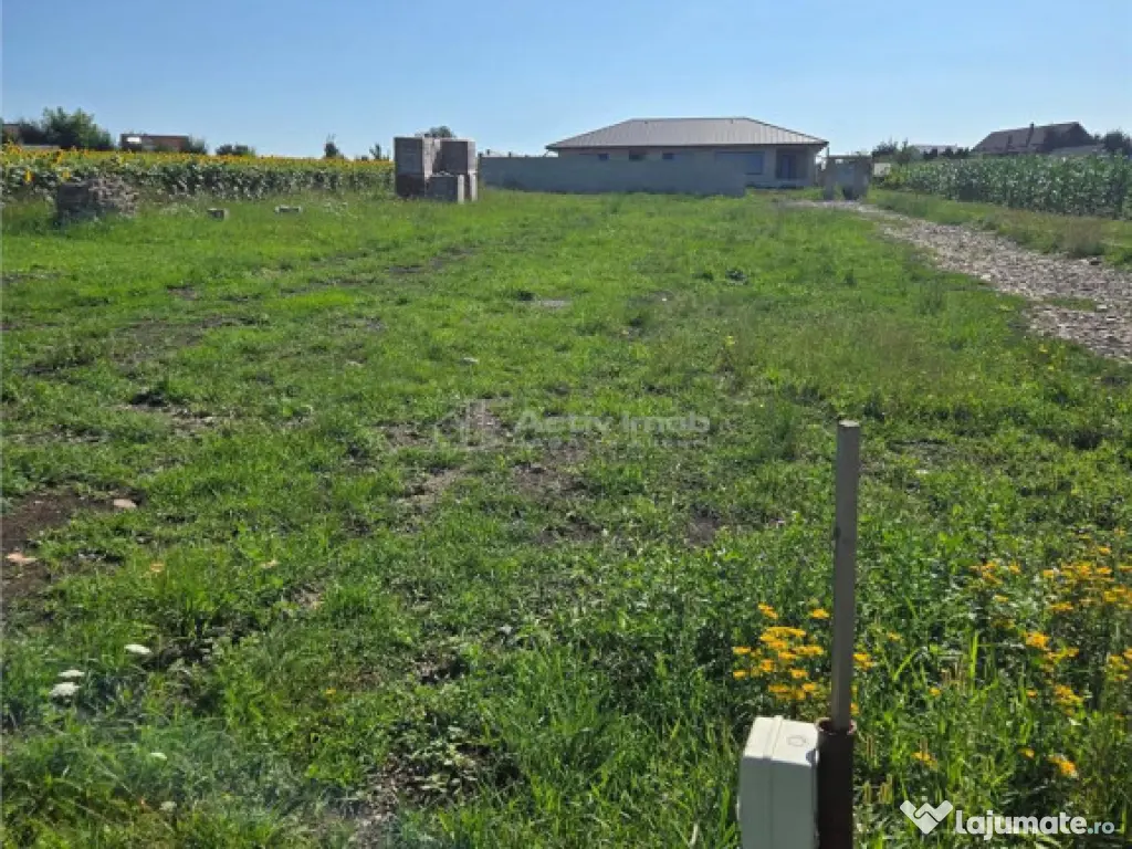 Teren intravilan - 895 mp - Moara Nica