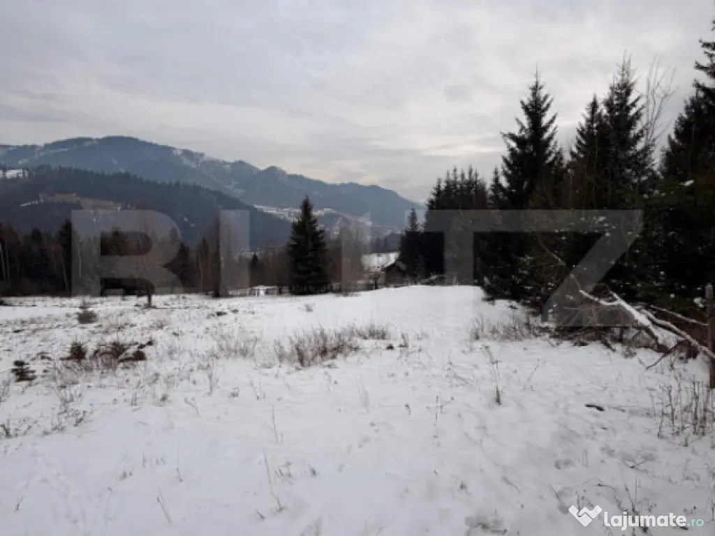 Teren intravilan 10746 mp, front 58 ml, localitatea Pojorata