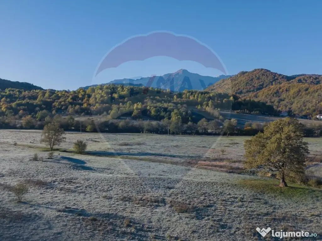 Teren Rasnov - Cheile Rasnoavei, 654mp, posibil 1329mp