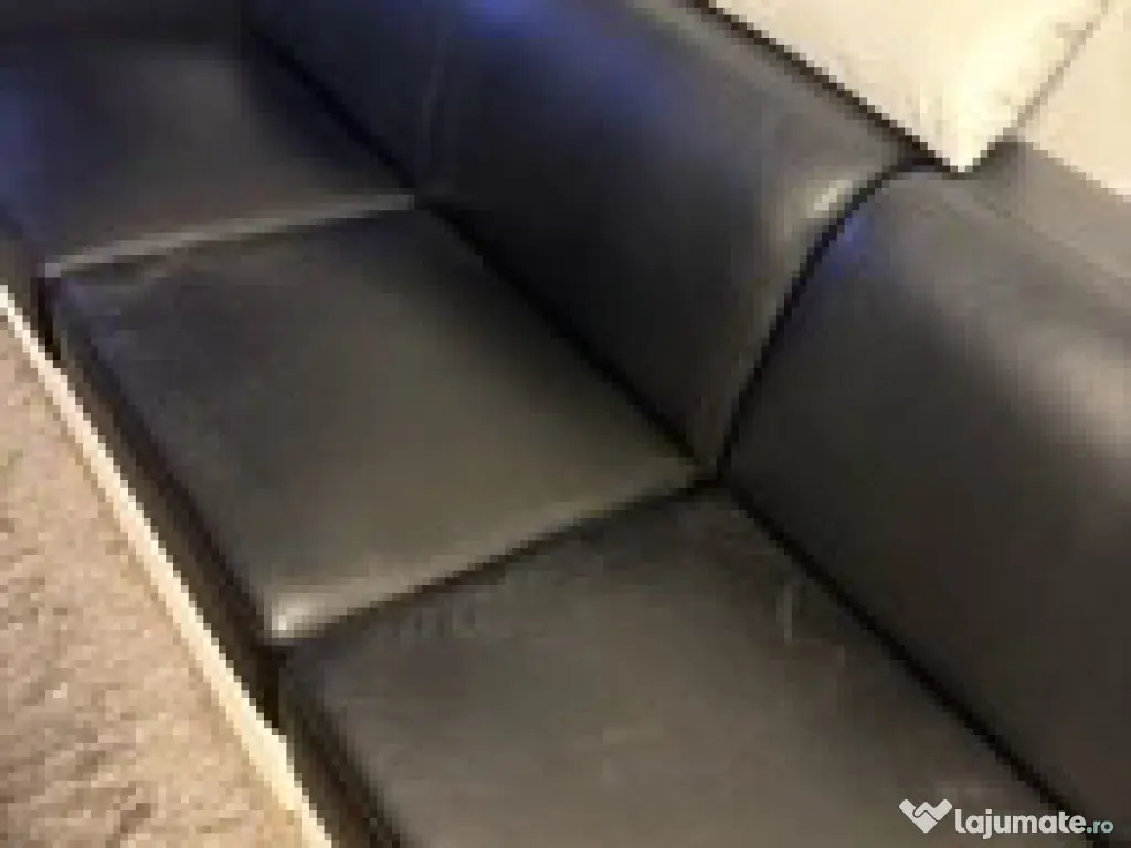 Canapea Piele 