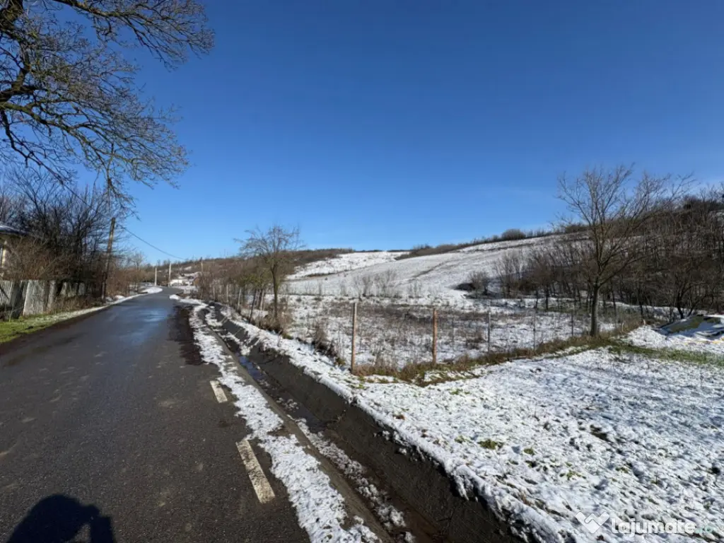 Teren intravilan 1.000 mp împrejmuit – Luncșoru, comuna 