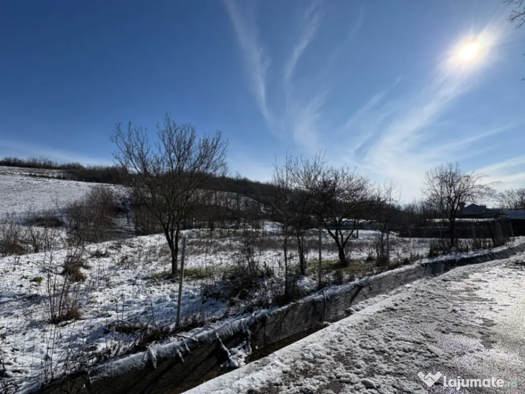 Teren intravilan 1.000 mp împrejmuit – Luncșoru, comuna 