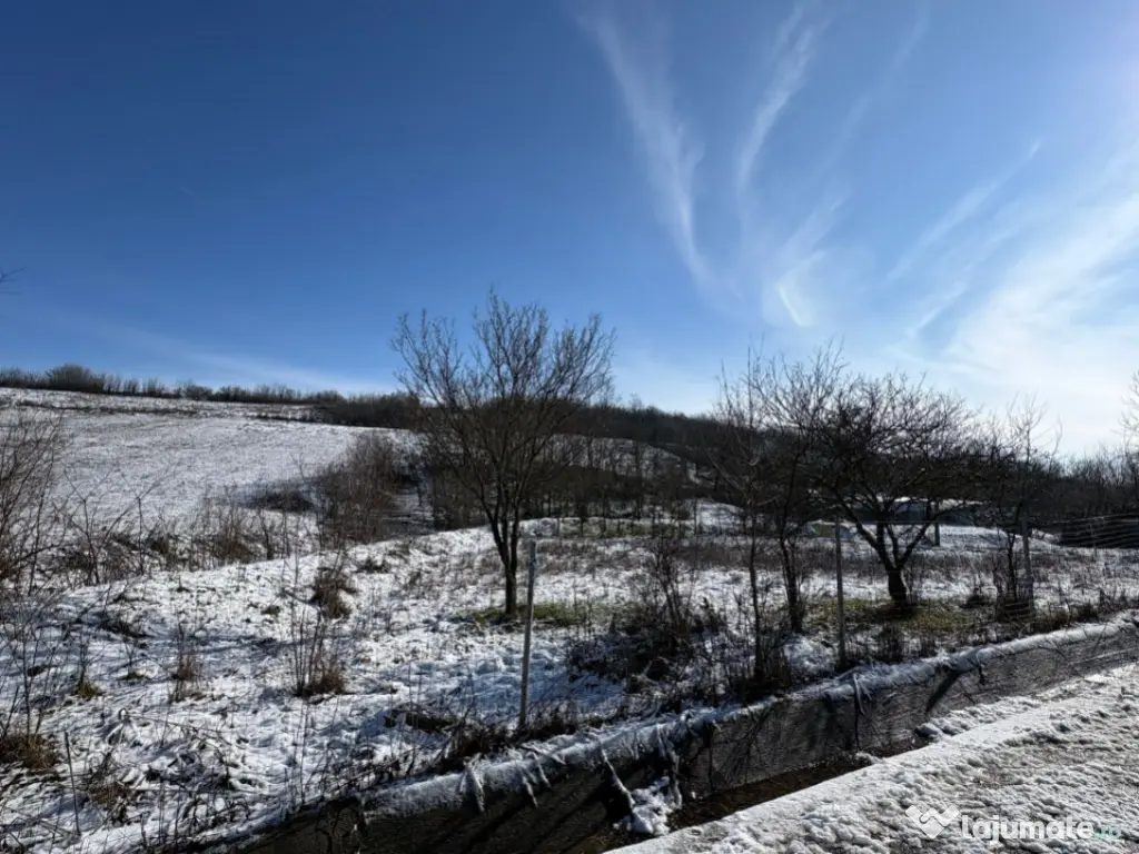 Teren intravilan 1.000 mp împrejmuit – Luncșoru, comuna 