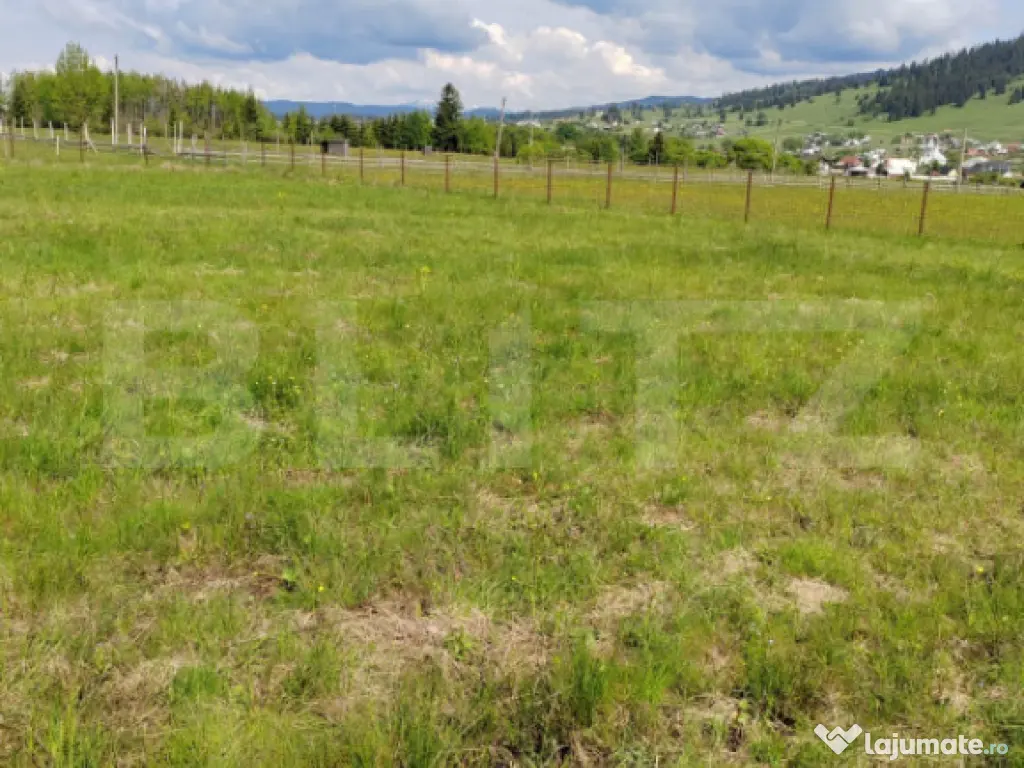 Ofertă de vânzare teren, URGENT, Dorna Candrenilor 