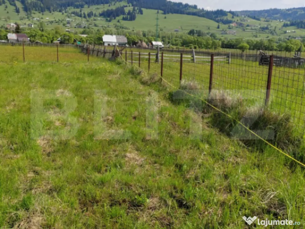 Ofertă de vânzare teren, URGENT, Dorna Candrenilor 