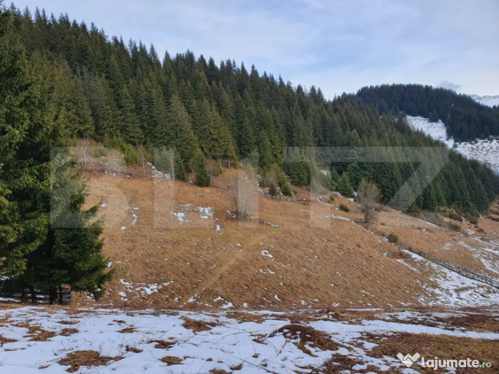 Teren cu potențial investițional major – Fundata, vecin?