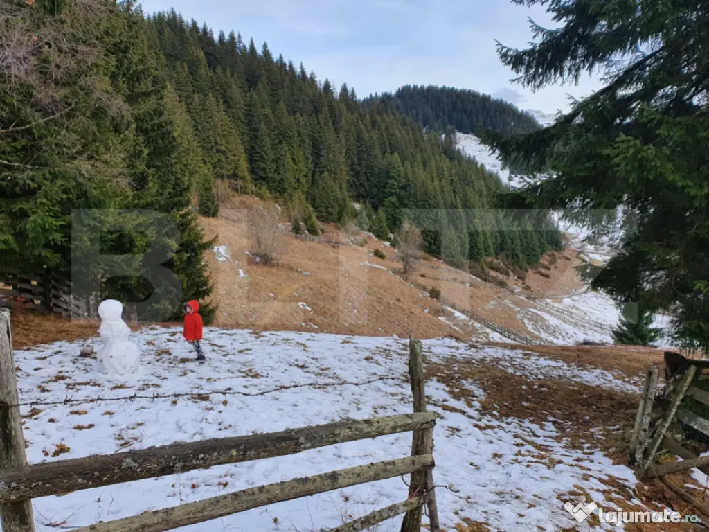 Teren cu potențial investițional major – Fundata, vecin?