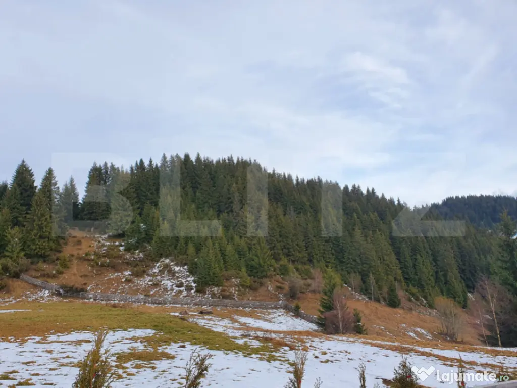 Teren cu potențial investițional major – Fundata, vecin?