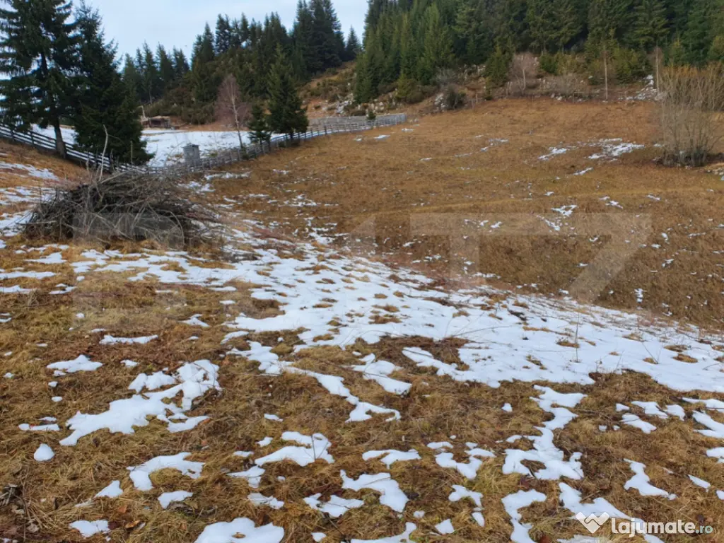 Teren cu potențial investițional major – Fundata, vecin?