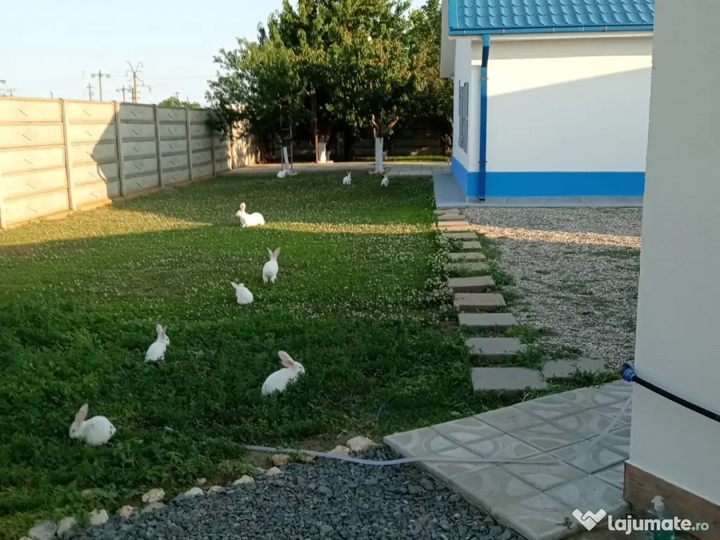 Vând casă în Corbu , jud. Constanta 