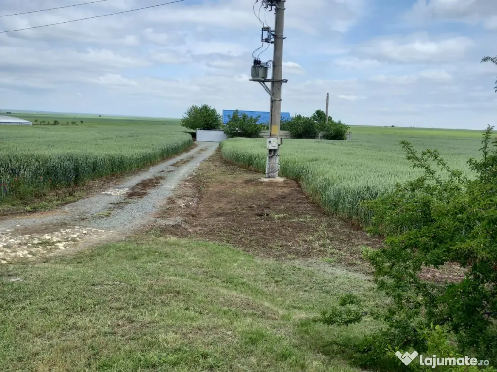Vând casă în Corbu , jud. Constanta 