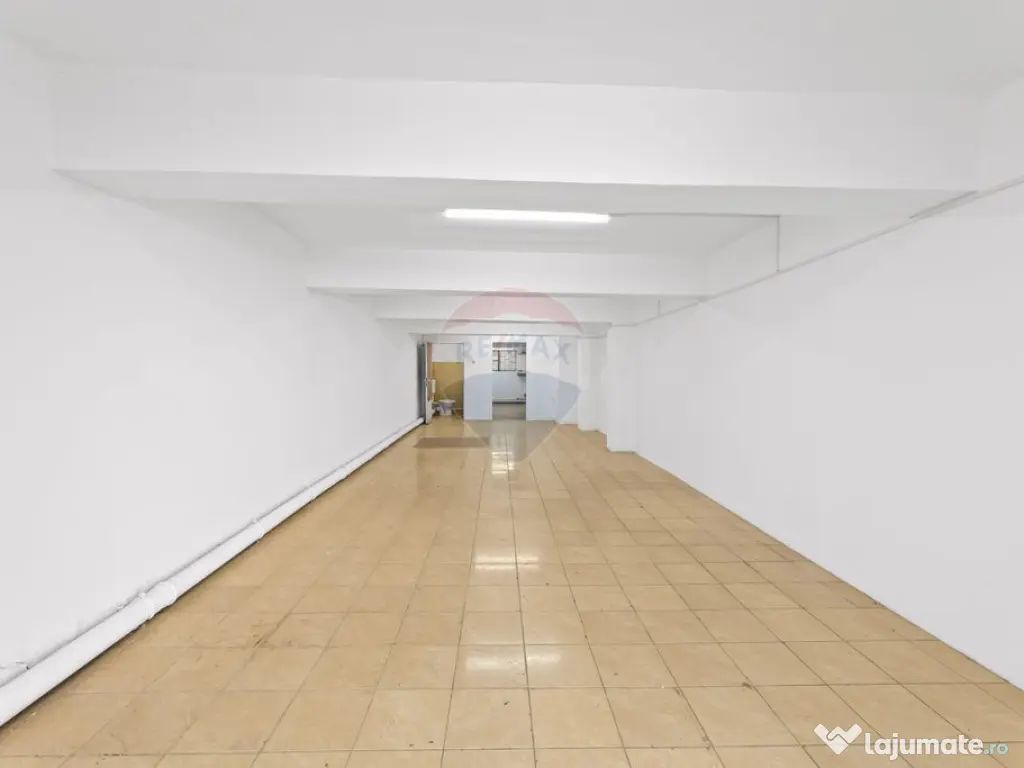 Spațiu comercial cu destinatii multiple Vlaicu 