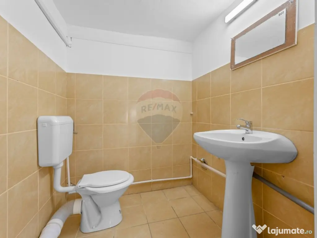 Spațiu comercial cu destinatii multiple Vlaicu 